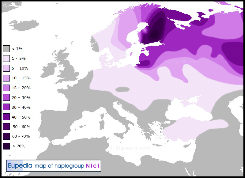 http://haplogroup.narod.ru/Haplogroup-N.gif
